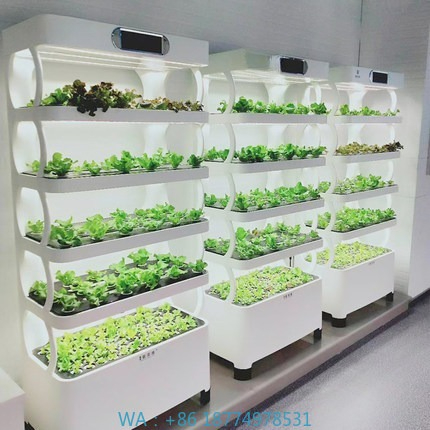 Sistema de cultivo automatizad - Diy Automation avaliação e preço
